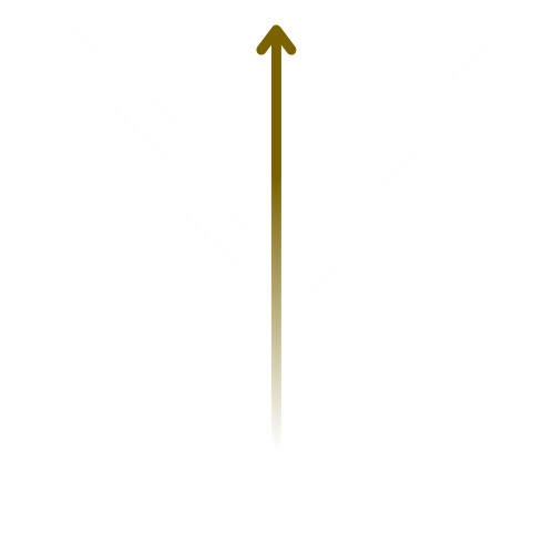 Korovin Coaching Light